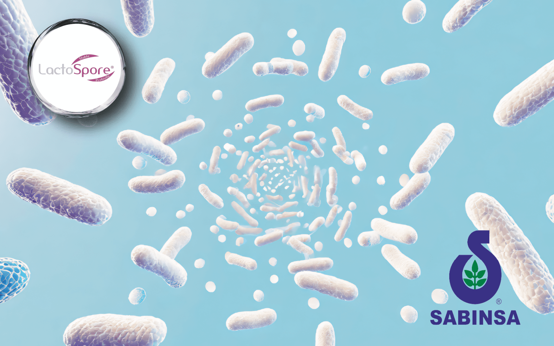 Sabinsa LactoWise® – 芽孢乳酸菌 × 胡蘆巴纖維共生質配方，支持腸道健康