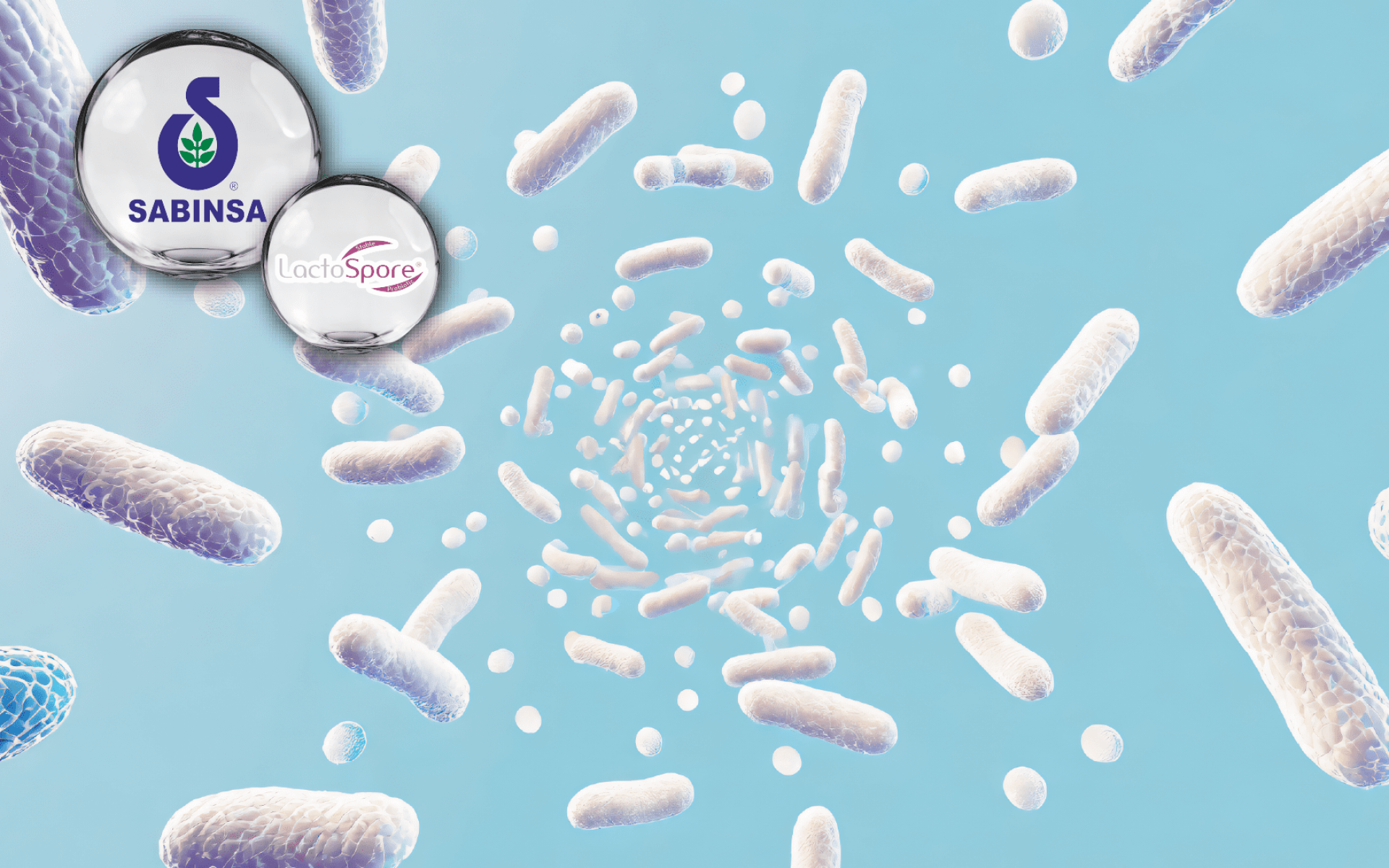 Sabinsa LactoWise® | Synbiotic Formula with Probiotic & Prebiotic