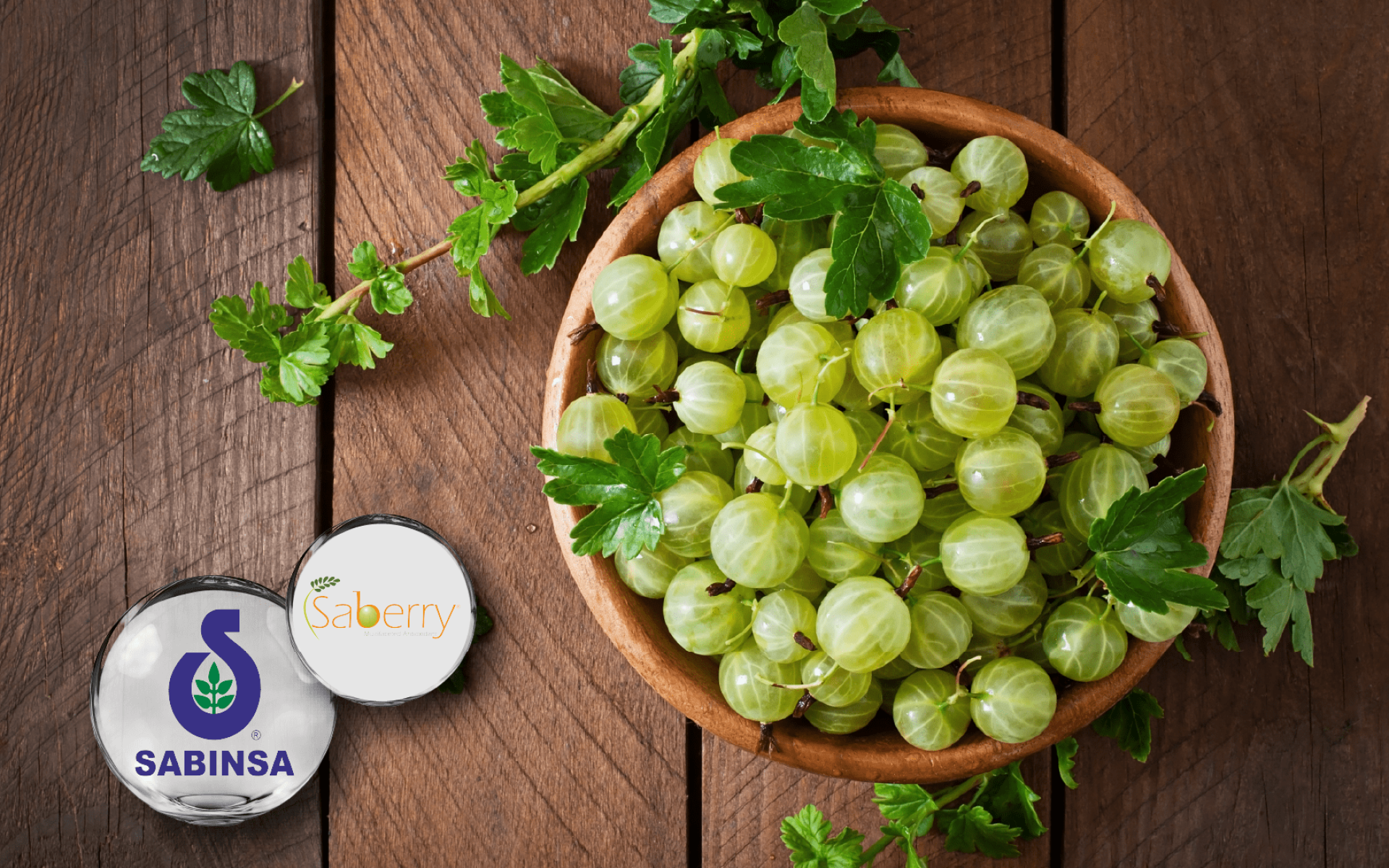 Sabinsa Saberry® | High-Solubility Amla Extract for Antioxidant Support