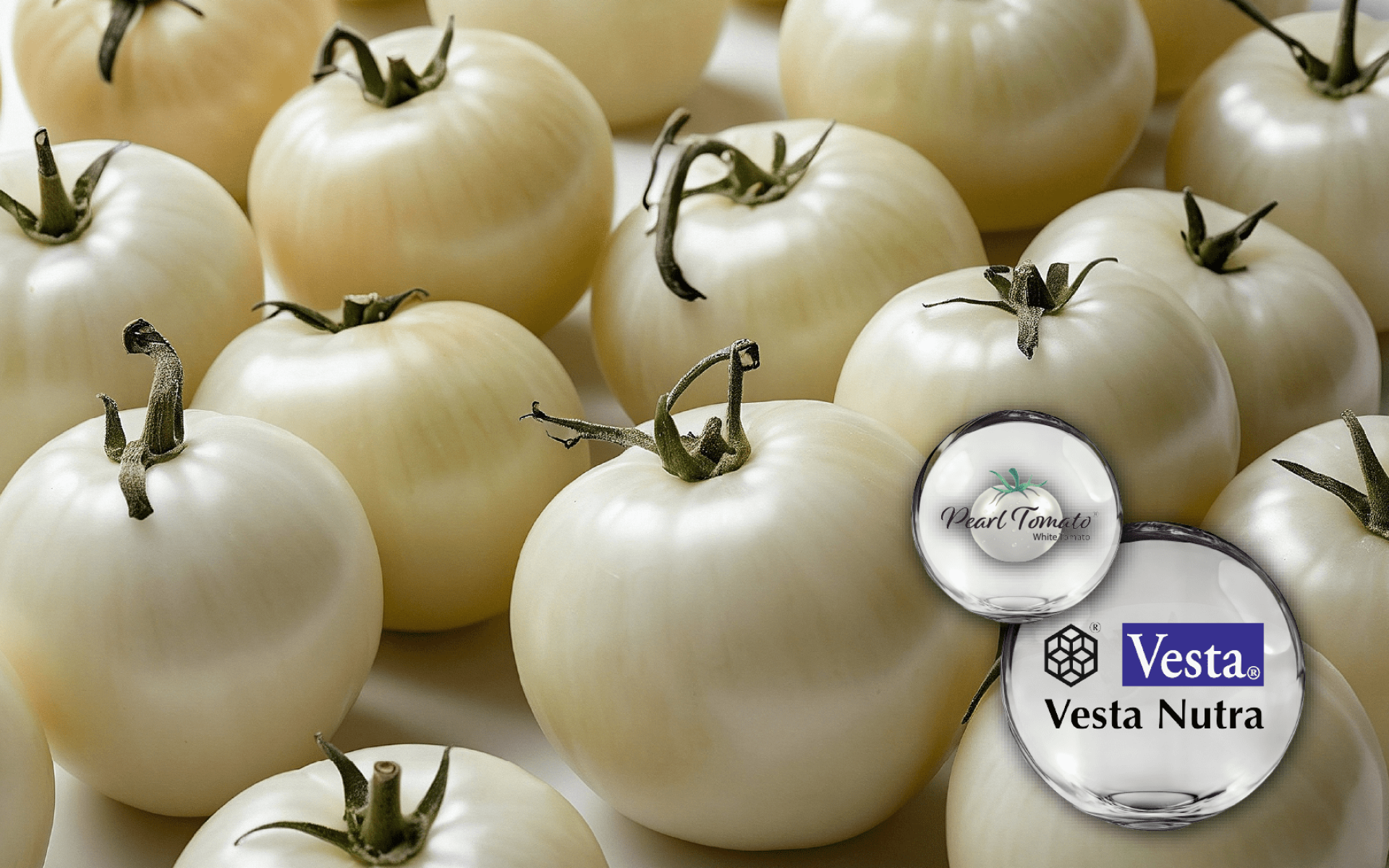Pearl Tomato™ 白番茄萃取 – 無色類胡蘿蔔素，天然口服防曬與亮采支持