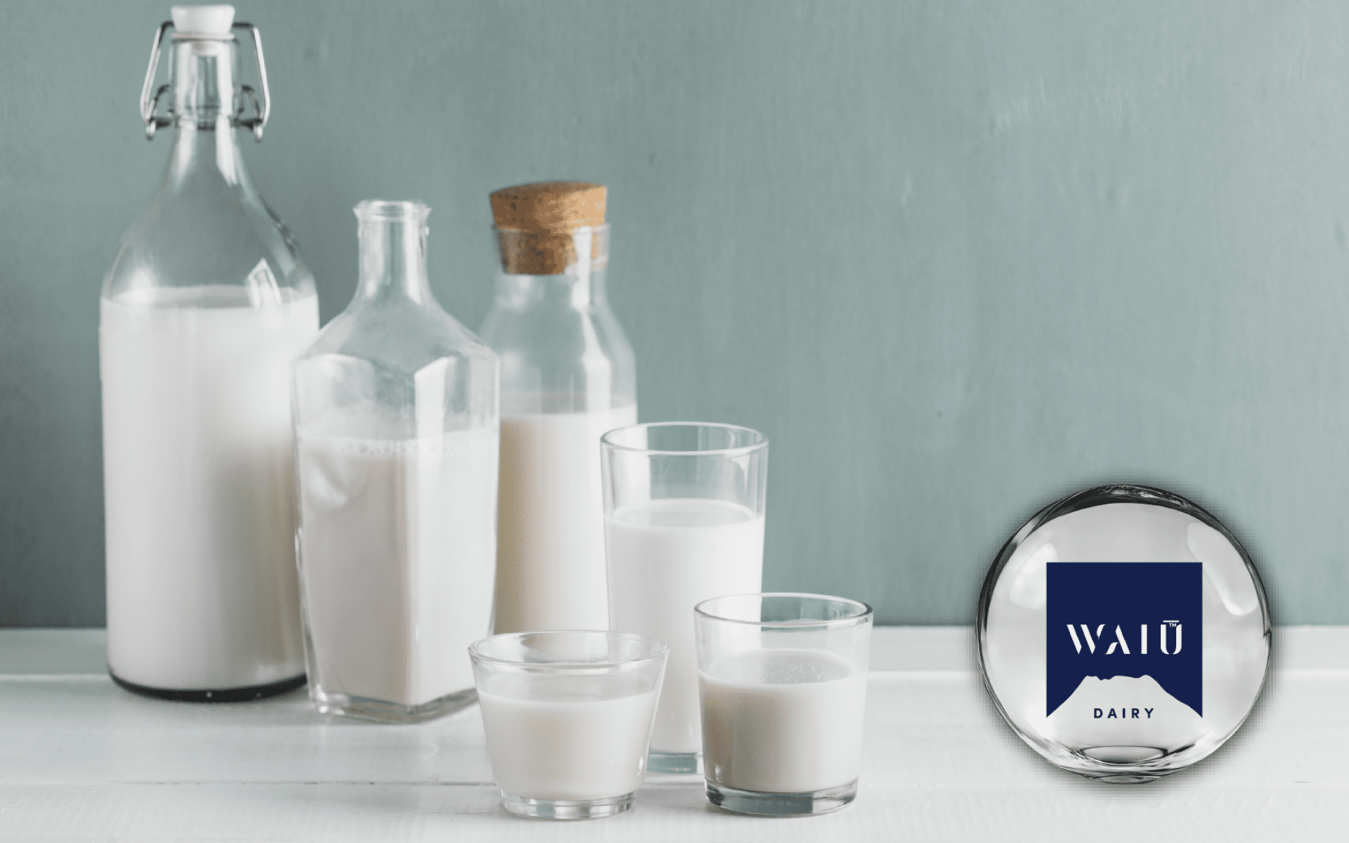 Waiu 牛奶蛋白 MPC-85 運動與熟齡營養配方原料