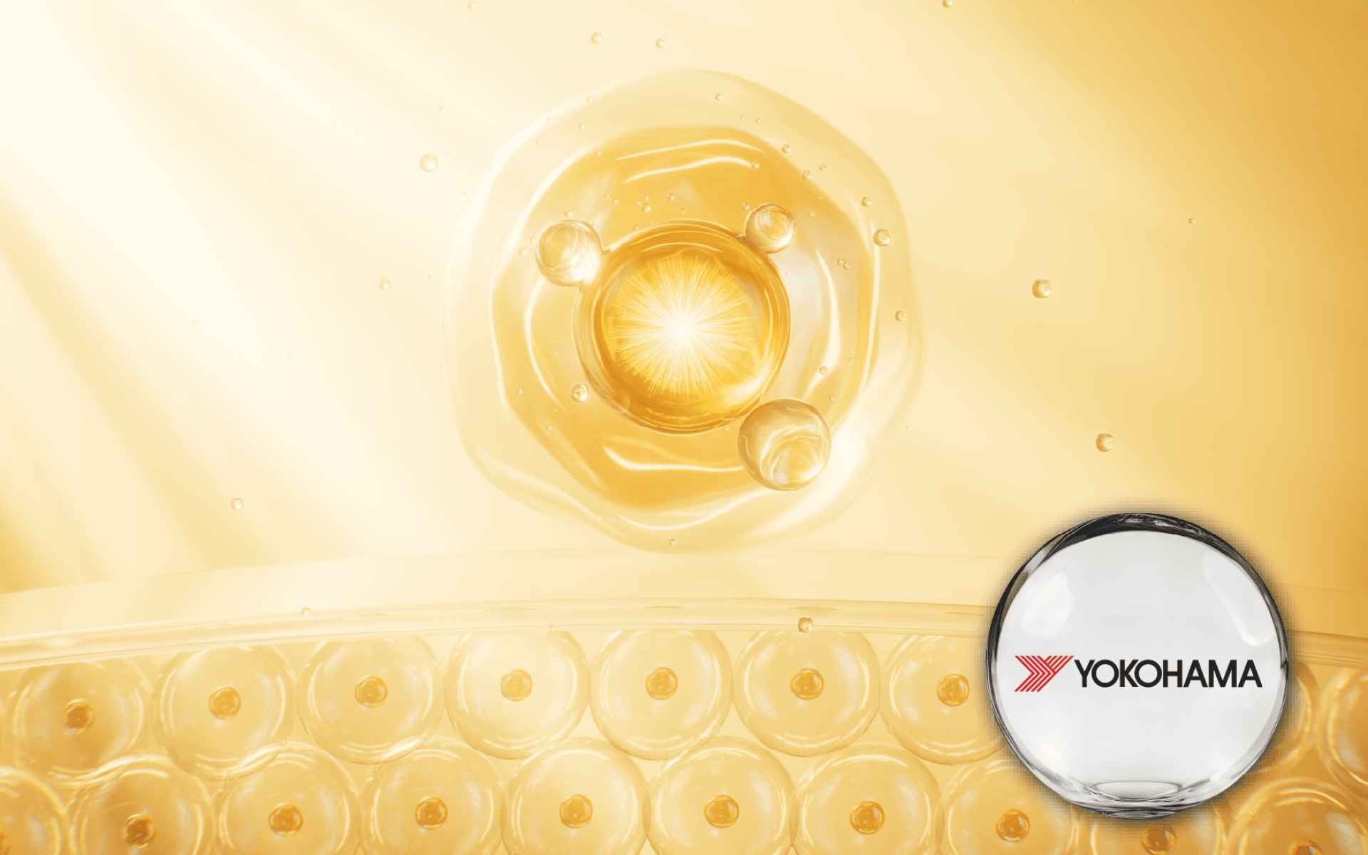 Coenzyme Q10 (CoQ10) · High-Bioavailability Emulsified CoQ10 · Energy Support Ingredient