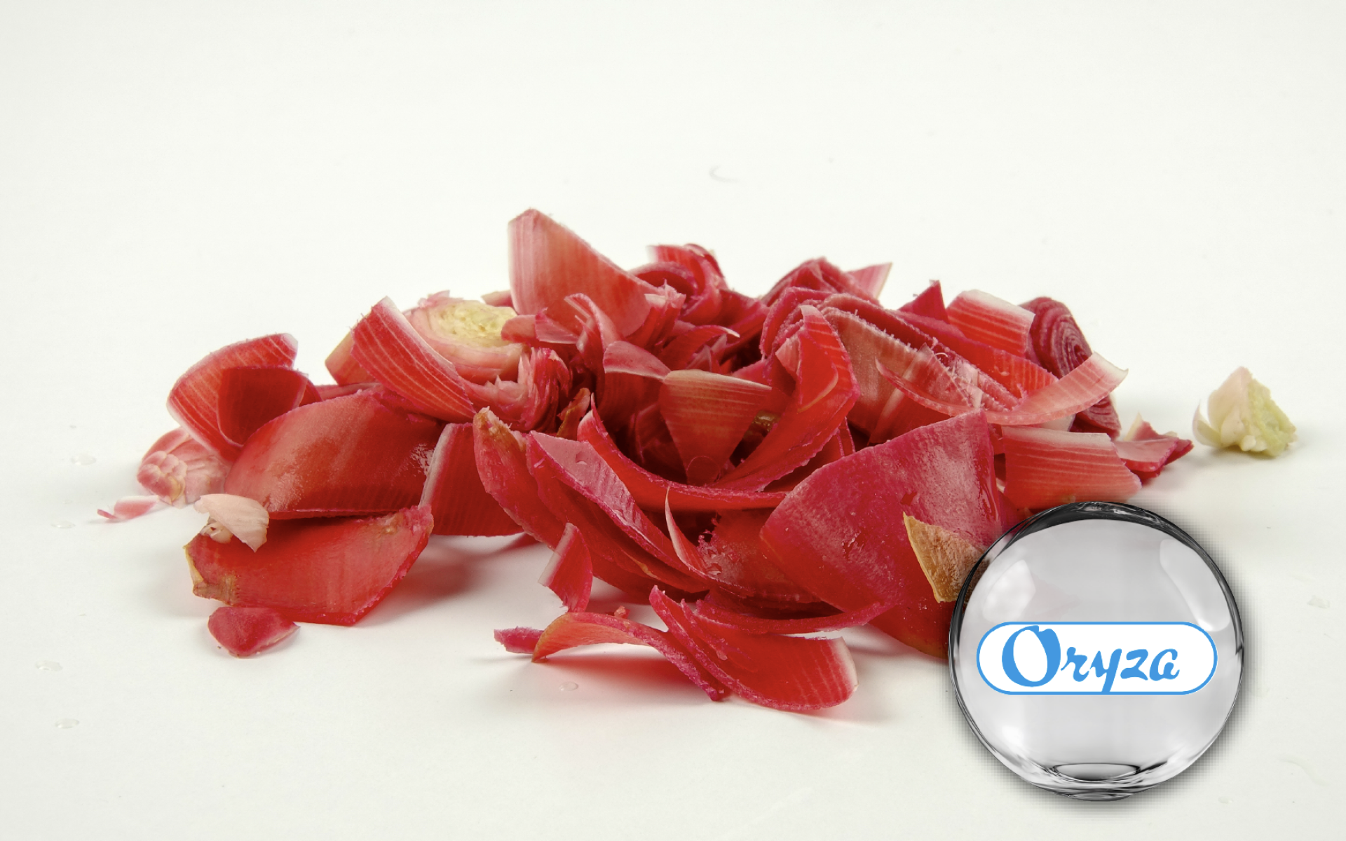 Oryza 紅薑萃取 – 高含量薑辣素與薑烯酚，支持靈活調理與舒緩
