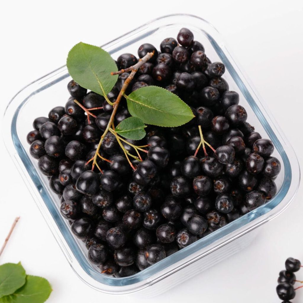 HP Ingredients｜MaquiCare™ 智利酒果萃取