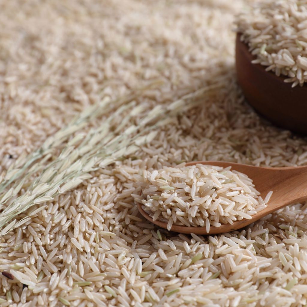 Oryza｜γ-穀維素