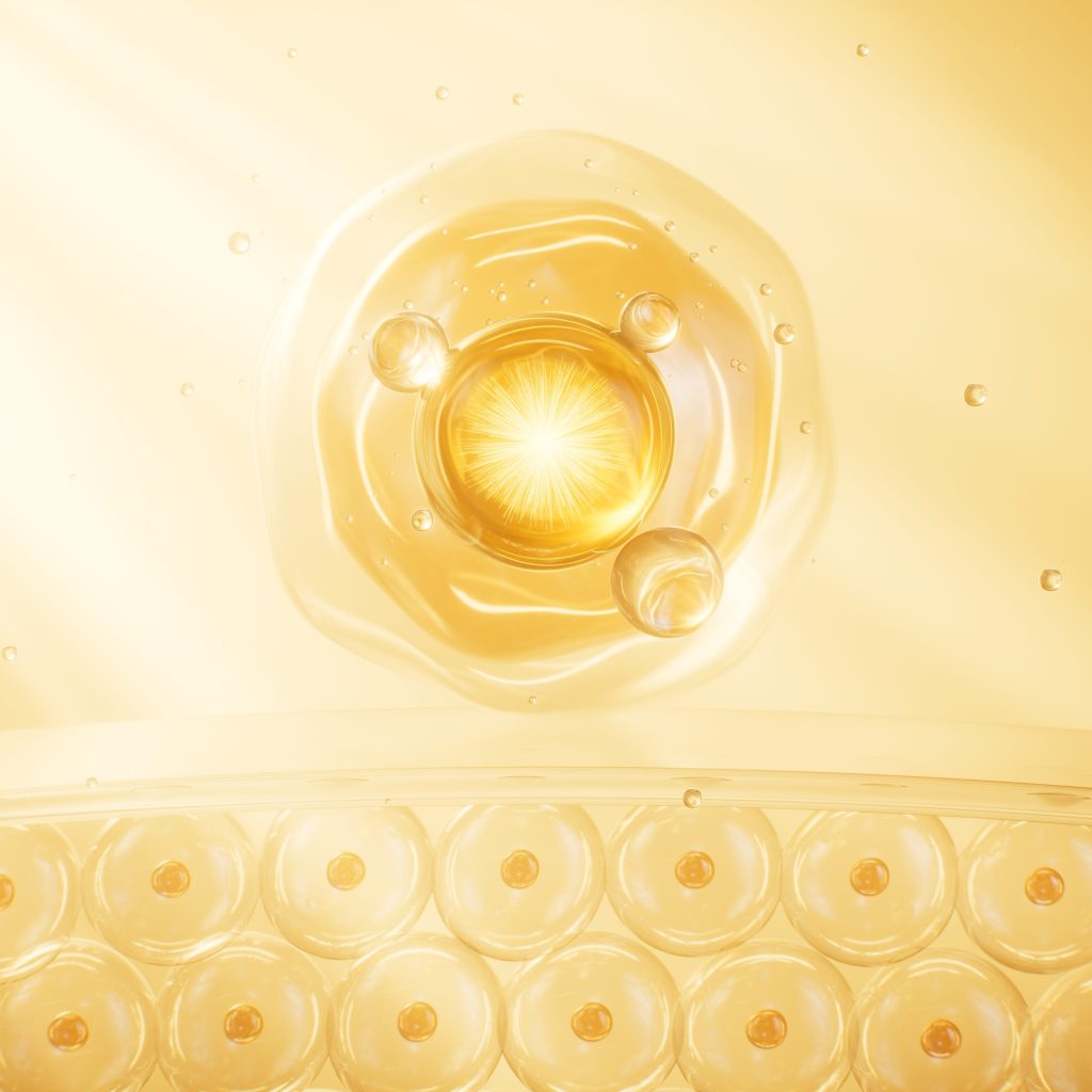 Coenzyme Q10