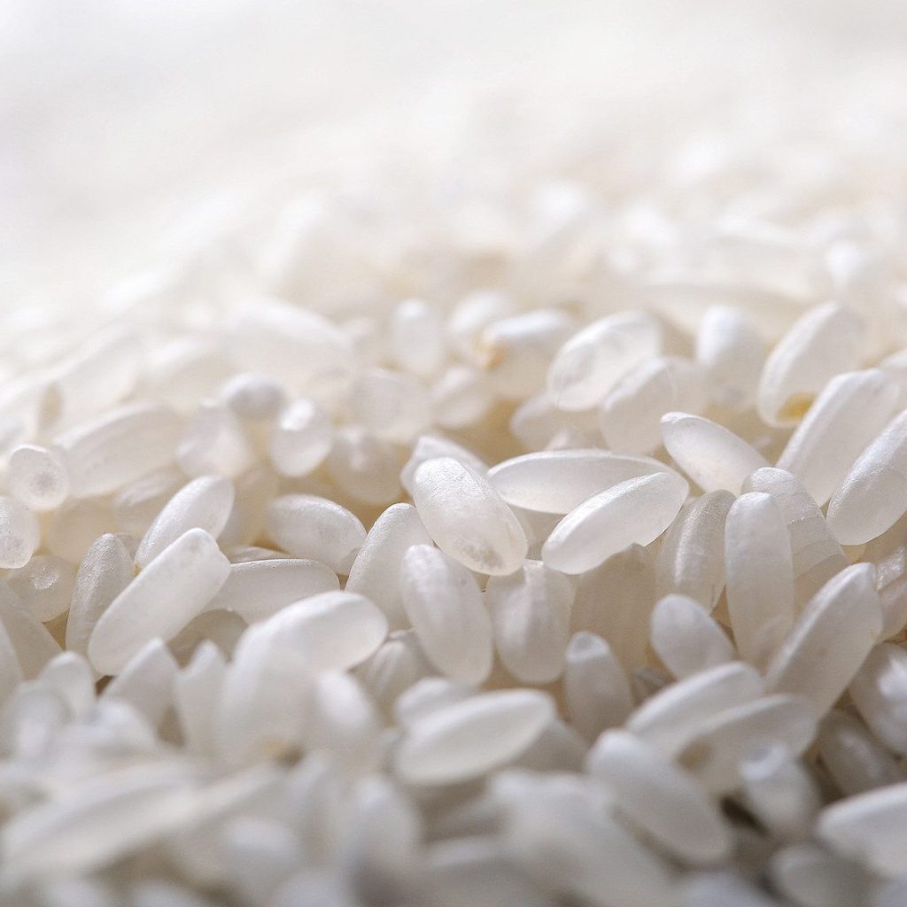 RiziPro® Rice Protein｜Highly Digestible Plant Protein from Premium Rice