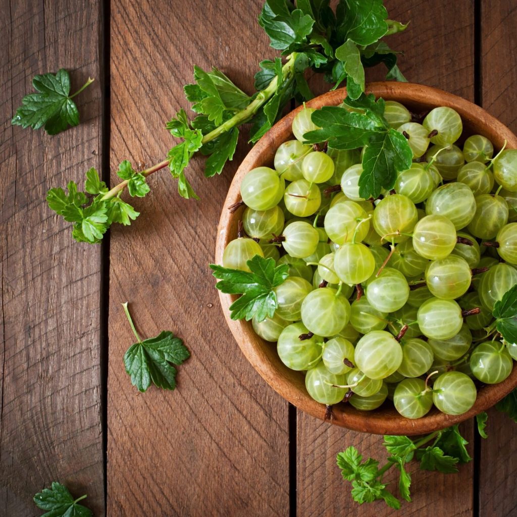 Sabinsa｜Saberry® 余甘子萃取