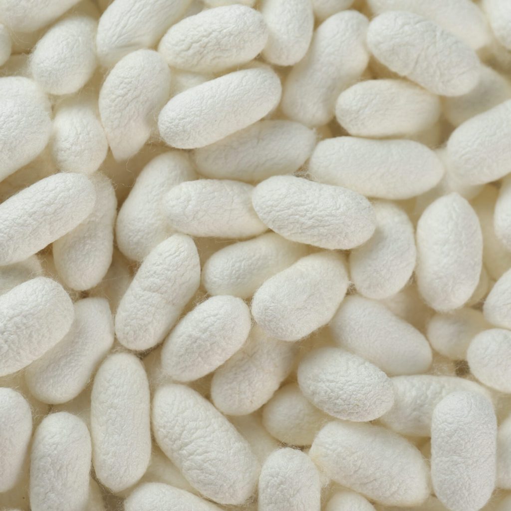 World Way｜Sil-Q®蠶絲蛋白胜肽