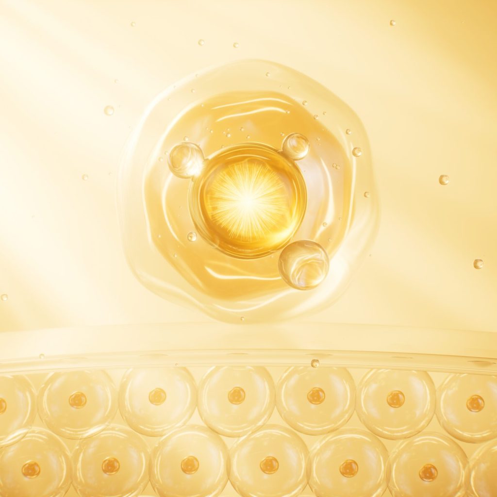 輔酵素Q10｜高吸收乳化技術・能量補給素材