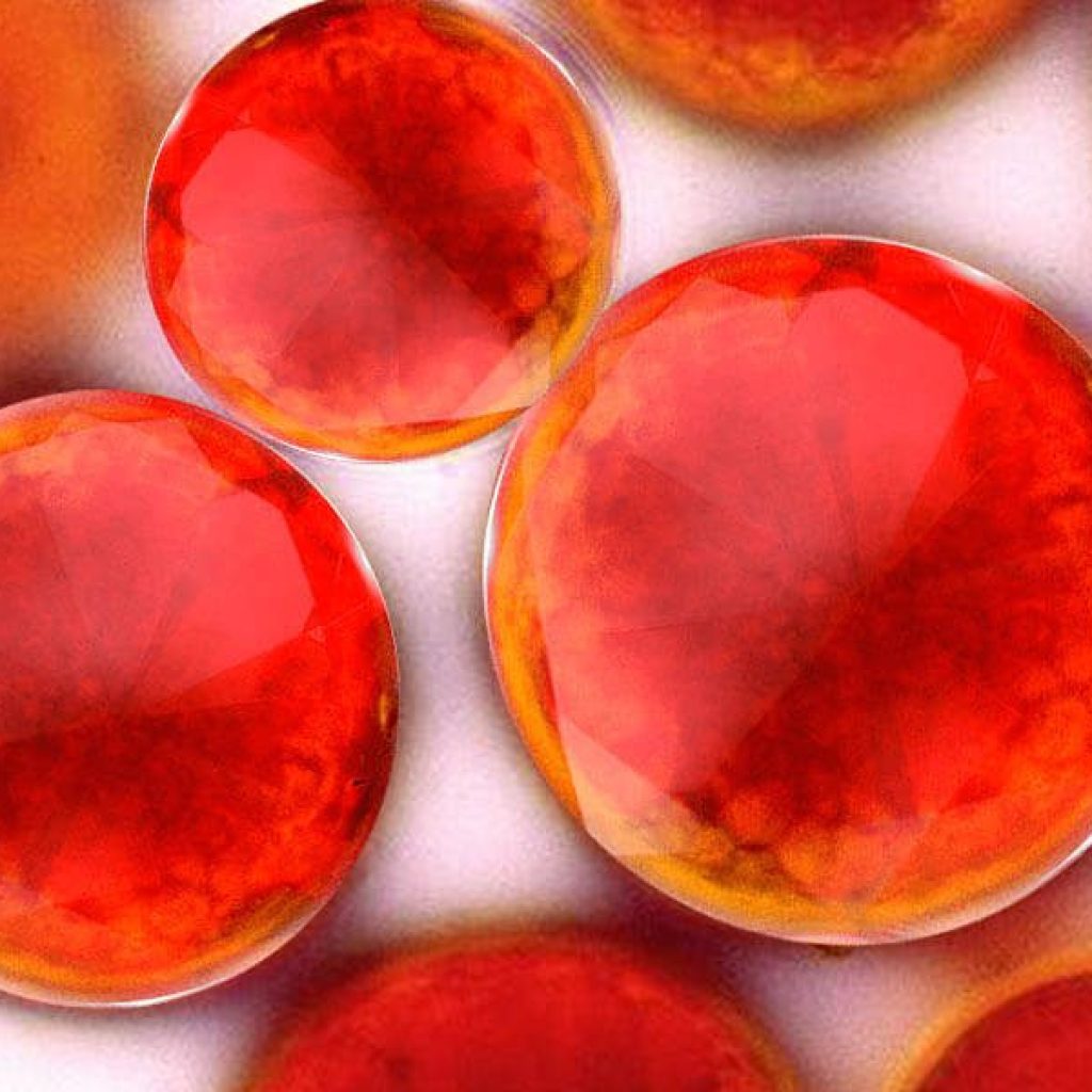 Biogenic｜紅藻萃取(AP1)